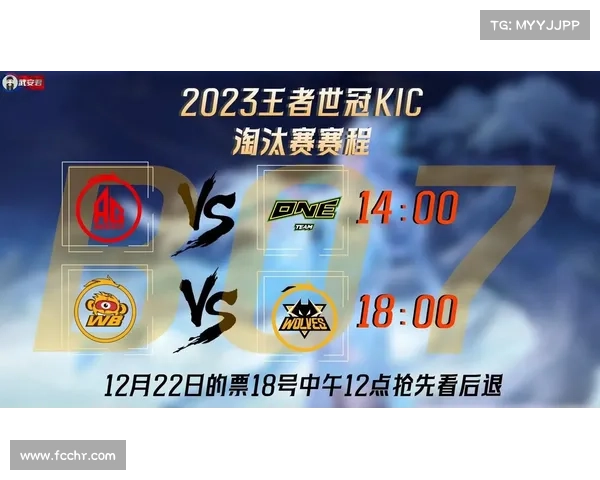双败赛是什么 双败赛是什么