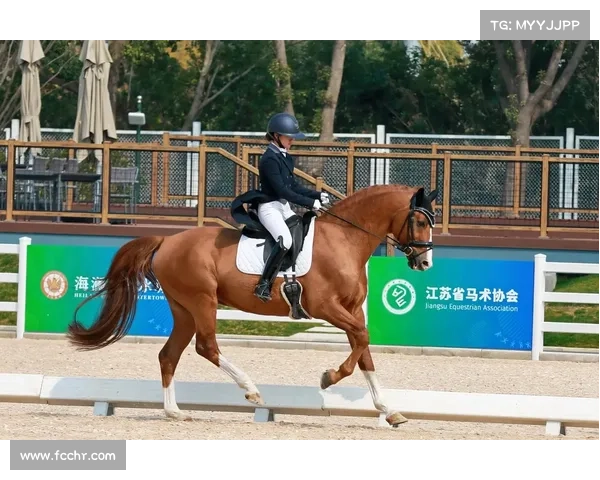 国际马术比赛规则